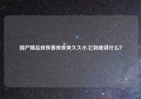 国产精品夜夜春夜夜爽久久小,它到底讲什么？