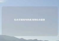 扎心文案短句伤感,宠物扎心语录