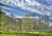 盲盒脱单北京,什么是幸运盲盒