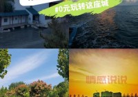 山东东营找单身男攻略，看这一篇就够了！