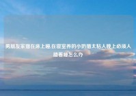 男朋友家猫在床上睡,在寝室养的小奶猫太粘人晚上必须人搂着睡怎么办