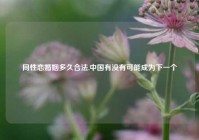 同性恋婚姻多久合法,中国有没有可能成为下一个
