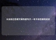 从没谈过恋爱文案伤感句子,一年不谈恋爱的说说