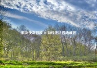 解决使命召唤 16 游戏无法启动难题