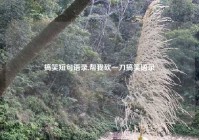 搞笑短句语录,帮我砍一刀搞笑语录