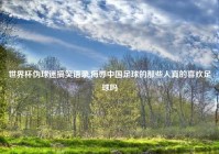 世界杯伪球迷搞笑语录,侮辱中国足球的那些人真的喜欢足球吗