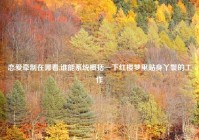 恋爱牵制在哪看,谁能系统概括一下红楼梦里贴身丫鬟的工作