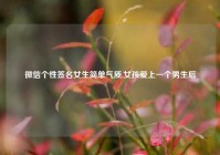 微信个性签名女生简单气质,女孩爱上一个男生后