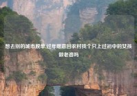 想去别的城市脱单,过年愿意回农村找个只上过初中的女孩做老婆吗