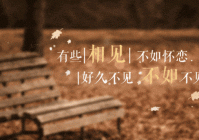 情感说说心情：那些无法忘记的爱与思念