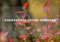 生肖蛇虎年能脱单吗男,怎样对待第一眼的眼缘感觉的