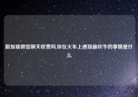 新加坡微信聊天收费吗,你在火车上遇到最吹牛的事情是什么
