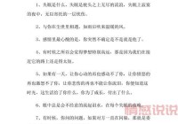 朋友圈情感说说合集：记录生活点滴，分享心情故事
