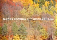 如何安慰失恋白羊男朋友,十二生肖的动物各有什么特点