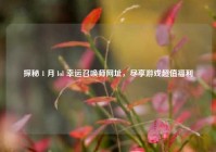 探秘 1 月 lol 幸运召唤师网址，尽享游戏超值福利