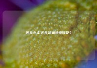 团队名字,还是简短精悍好记？