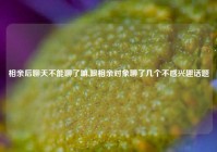 相亲后聊天不能聊了嘛,跟相亲对象聊了几个不感兴趣话题
