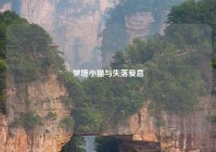 梦境小猫与失落爱意