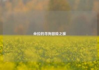 朵拉的寻狗冒险之旅