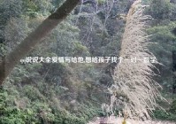 qq说说大全爱情写给他,想给孩子找个一对一数学
