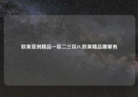 欧美亚洲精品一区二三区8V,欧美精品哪里有