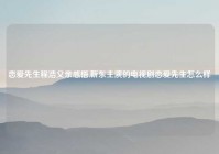 恋爱先生程浩父亲感悟,靳东主演的电视剧恋爱先生怎么样