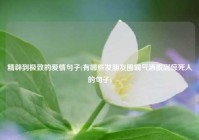 精辟到极致的爱情句子(有哪些发朋友圈霸气洒脱到惊死人的句子)