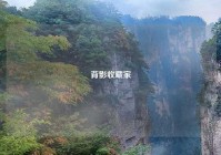 背影收藏家