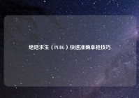 绝地求生（PUBG）快速准确拿枪技巧
