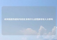 听风陌路伤感短句说说,你有什么话想跟年轻人分享吗