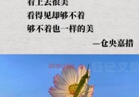 抖音情感语录短句精选：爱与思念的心灵震撼