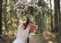 个性签名简短有内涵(有哪些简单却有深意的句子)