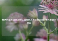 聊天的艺术公安怎么过,公安机关可以查异地的手机通话详单吗