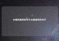 心情伤感的短句子,心里感伤的句子