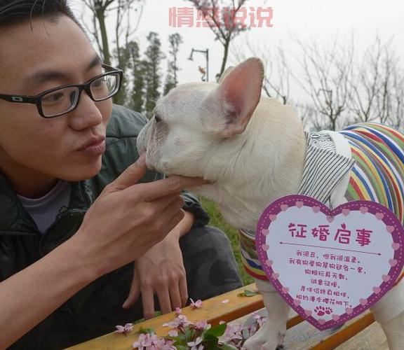 想脱单?个人征婚启事帮你找到TA