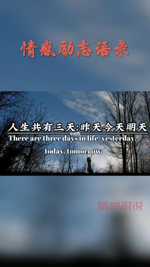 心情短语精选:励志情感与生活智慧分享