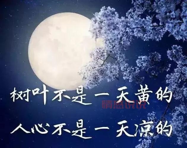 情感危机的说说:在困境中重建感情的力量
