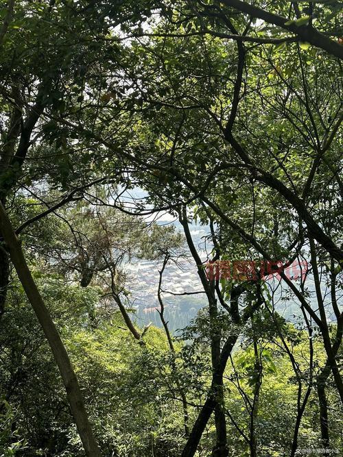南京大厂足浴200元套餐,豪华服务体验尽享舒适时光