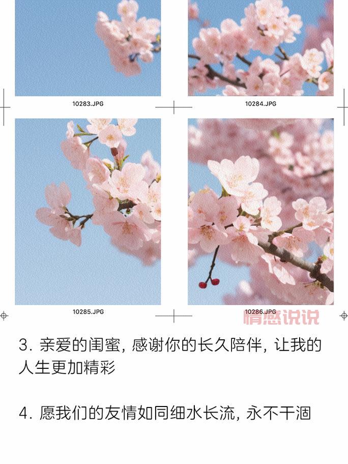 表达闺蜜心情的短语:深厚友情,温暖陪伴