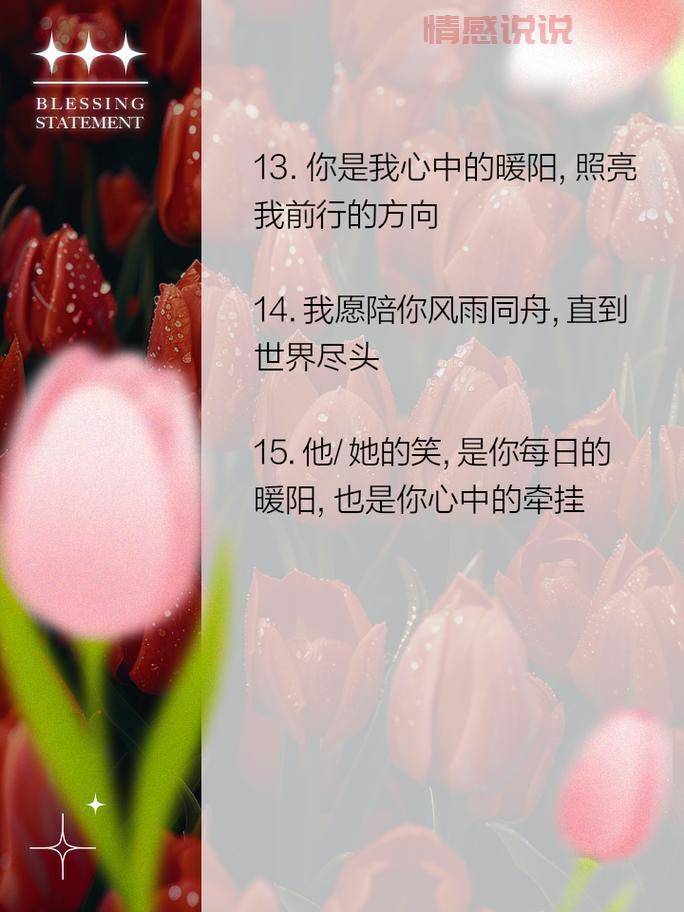 爱你的情感语录说说:句句暖心,打动你的心灵