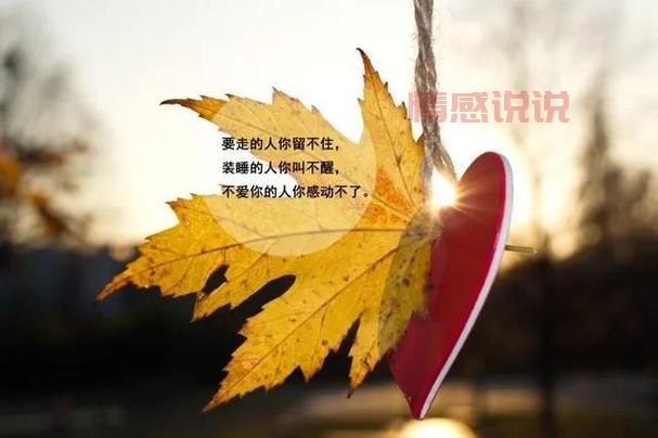 经典情感说说带图合集，表达心情的最佳选择