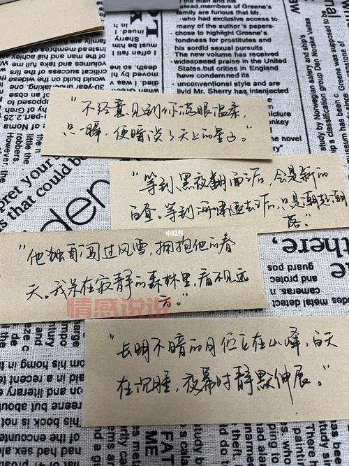 一段情感说说:不惧孤单,拥抱生命中的每一瞬