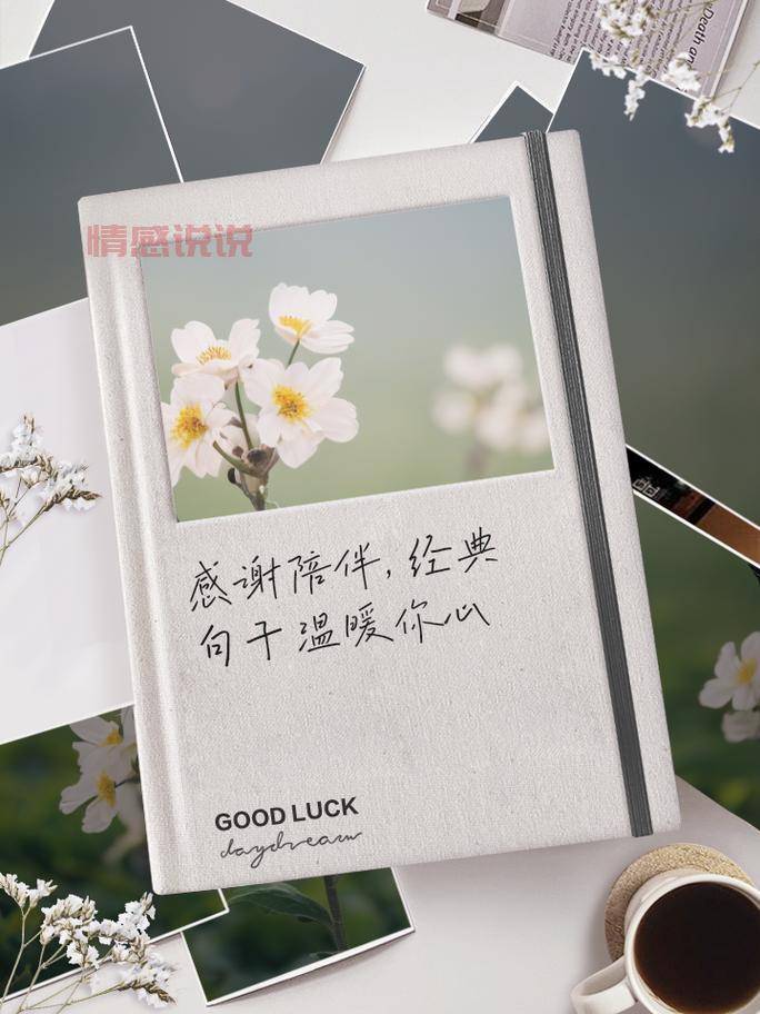 情感说说合集:时间会治愈你,陪伴会温暖你