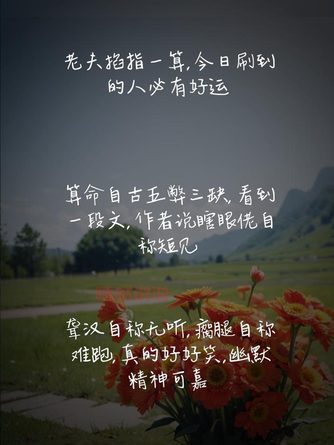 用幽默点亮生活，搞笑情感说说合集