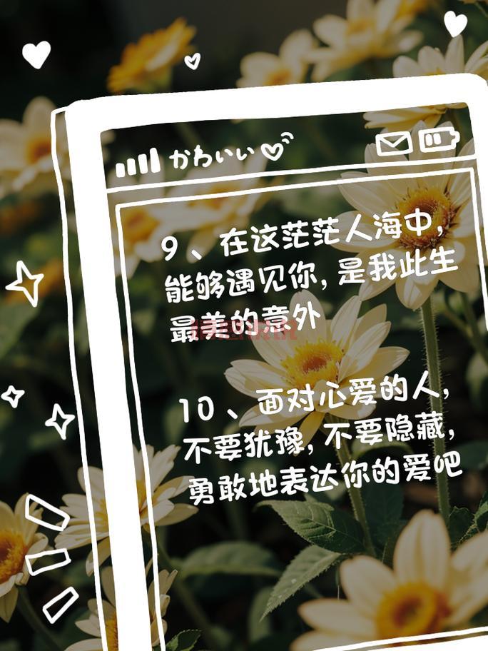 情感语录精选:记录深情与感悟的时光