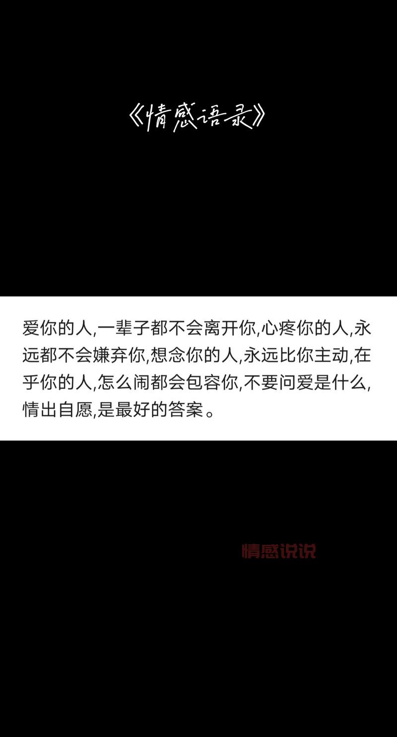 情感语录精选:记录深情与感悟的时光