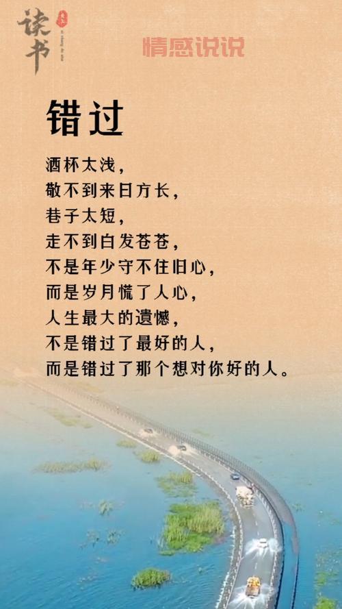 情感语录精选:记录深情与感悟的时光