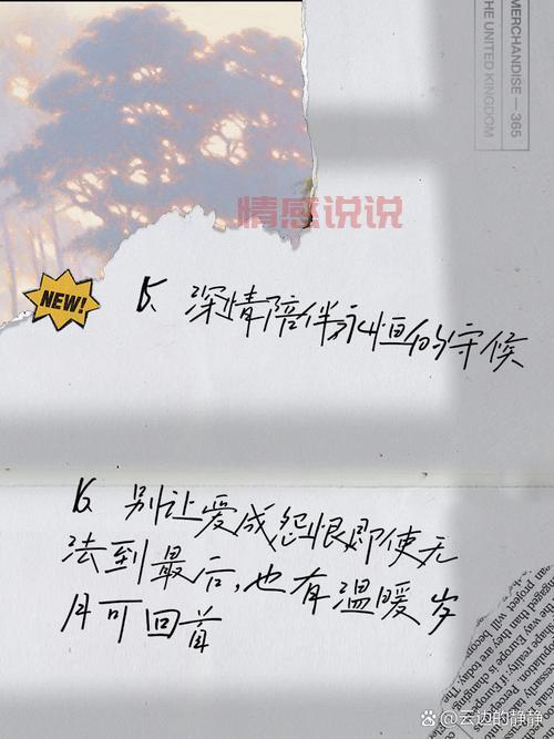 情感说说段子精选：触动人心的温暖语录
