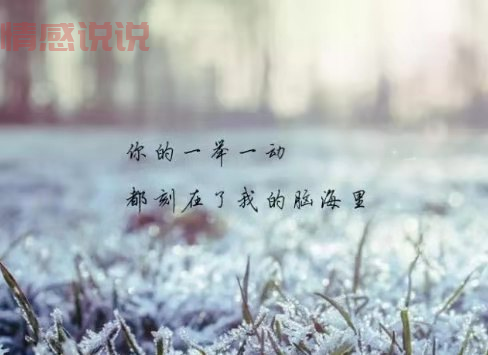 情感萌芽说说:让爱在细腻中绽放