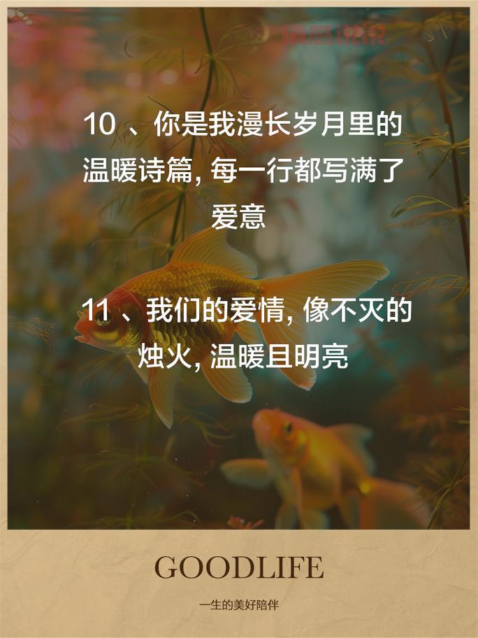情感说说大全长篇说说:暖心语录分享你的心情